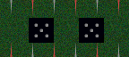        5 5       